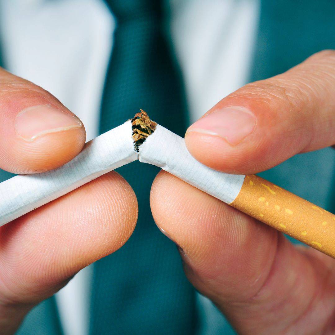 Quelles plantes fumer à la place du tabac ? La Chanvré CBDParis — free download